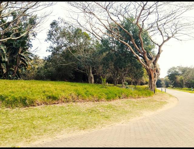 518M² VACANT LAND FOR SALE IN PRINCE'S GRANT GOLF ESTATE